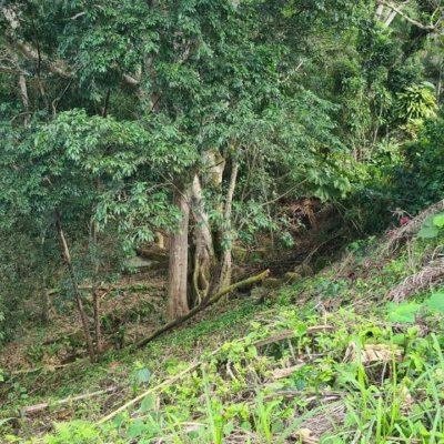 Terrenos Residenciais com 11211m², no bairro Sambaqui em Florianópolis