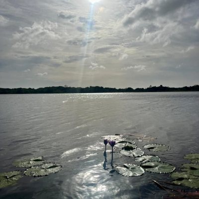 Casa Residencial com 220m², 6 quartos, 1 suíte, 3 garagens, no bairro Rio Tavares em Florianópolis