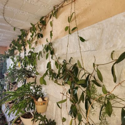 Casa Residencial com 370m², 5 quartos, 2 suítes, 3 garagens, no bairro Barreiros em São José