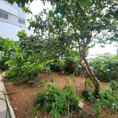 Casa Residencial com 370m², 5 quartos, 2 suítes, 3 garagens, no bairro Barreiros em São José