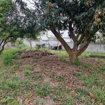 Terreno Comercial/Residencial com 1288m², no bairro Ingleses do Rio Vermelho em Florianópolis