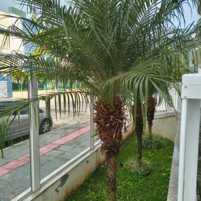 Apartamentos com 129m², 3 quartos, 3 suítes, 1 garagem, no bairro Ingleses do Rio Vermelho em Florianópolis