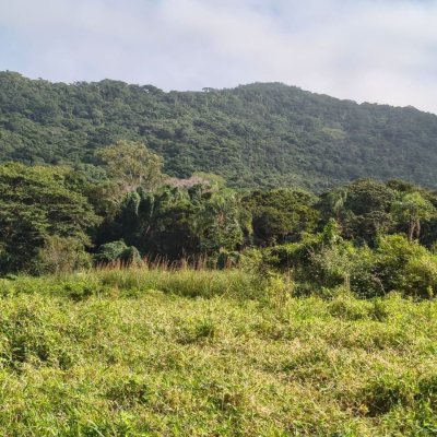 Apartamentos com 129m², 3 quartos, 3 suítes, 1 garagem, no bairro Ingleses do Rio Vermelho em Florianópolis