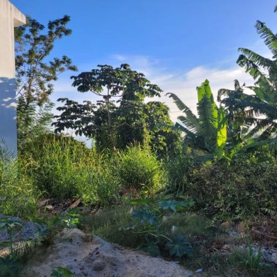 Terrenos Residenciais com 379m², no bairro Agronômica em Florianópolis