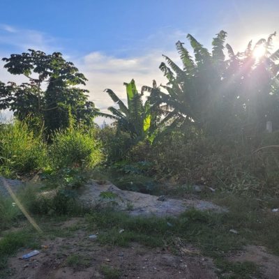 Terrenos Residenciais com 379m², no bairro Agronômica em Florianópolis