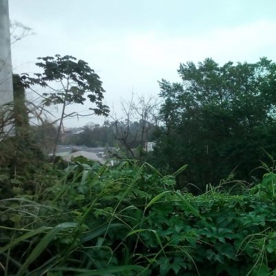 Terrenos Residenciais com 379m², no bairro Agronômica em Florianópolis