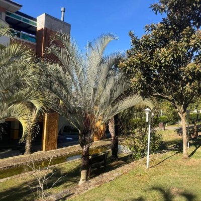 Cobertura com 196m², 3 quartos (sendo 1 suíte), 2 garagens, no bairro Carvoeira em Florianópolis