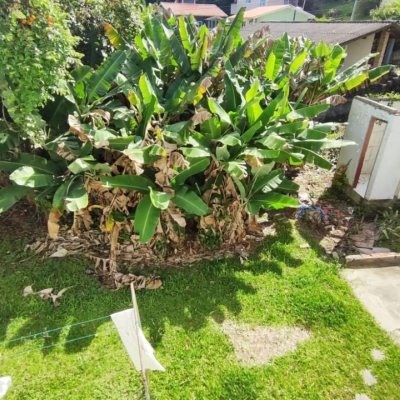 Casa Residencial com 269m², 3 quartos, 1 suíte, 2 garagens, no bairro Costeira do Pirajubaé em Florianópolis