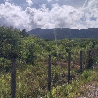 Terrenos Residenciais com 10911m², no bairro Carianos em Florianópolis