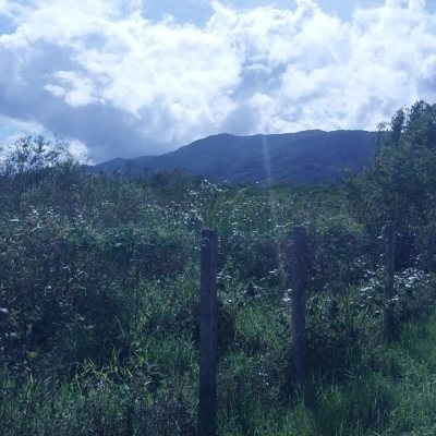 Terrenos Residenciais com 10911m², no bairro Carianos em Florianópolis