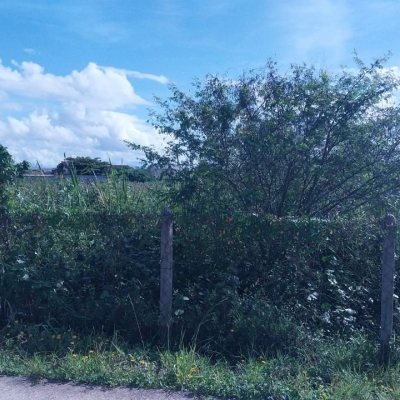 Terrenos Residenciais com 10911m², no bairro Carianos em Florianópolis