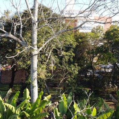 Terreno Comercial/Residencial com 909m², no bairro João Paulo em Florianópolis