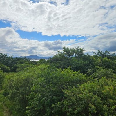 Apartamentos com 187m², 2 quartos, 2 suítes, 2 garagens, no bairro Abraão em Florianópolis