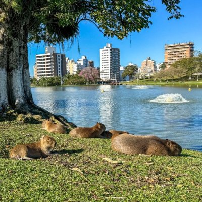 Apartamentos com 81m², 2 quartos, 2 suítes, 1 garagem, no bairro Pedra Branca em Palhoça