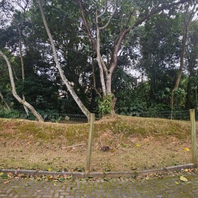 Terrenos Residenciais com 390m², no bairro Rio Tavares em Florianópolis
