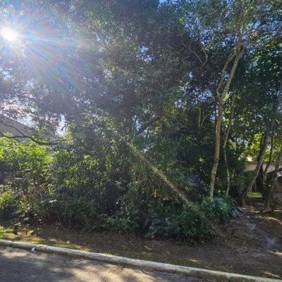 Terrenos Residenciais com 390m², no bairro Rio Tavares em Florianópolis