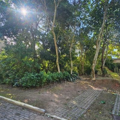 Terrenos Residenciais com 390m², no bairro Rio Tavares em Florianópolis