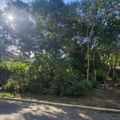 Terrenos Residenciais com 390m², no bairro Rio Tavares em Florianópolis
