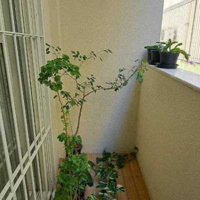 Apartamentos com 95m², 3 quartos, 1 suíte, 1 garagem, no bairro Canto em Florianópolis