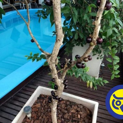 Cobertura com 360m², 5 quartos, 3 suítes, 3 garagens, no bairro Centro em Florianópolis