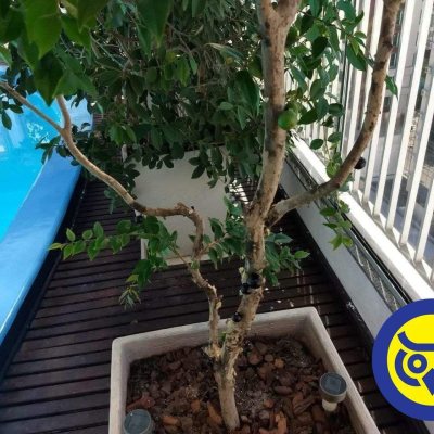 Cobertura com 360m², 5 quartos, 3 suítes, 3 garagens, no bairro Centro em Florianópolis