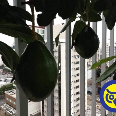 Cobertura com 360m², 5 quartos, 3 suítes, 3 garagens, no bairro Centro em Florianópolis