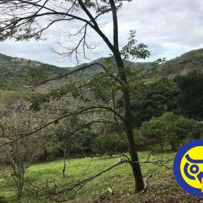 Terreno Comercial/Residencial com 66151m², no bairro Vargem Grande em Florianópolis