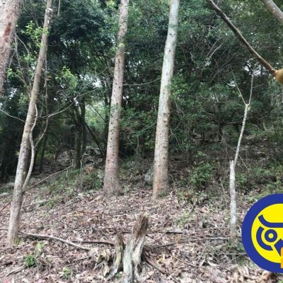 Terreno Comercial/Residencial com 66151m², no bairro Vargem Grande em Florianópolis