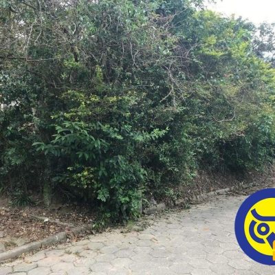 Terreno Comercial/Residencial com 66151m², no bairro Vargem Grande em Florianópolis