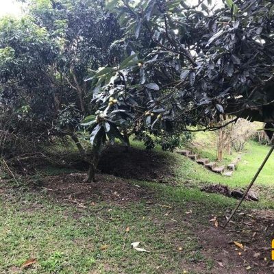 Terreno Comercial/Residencial com 66151m², no bairro Vargem Grande em Florianópolis