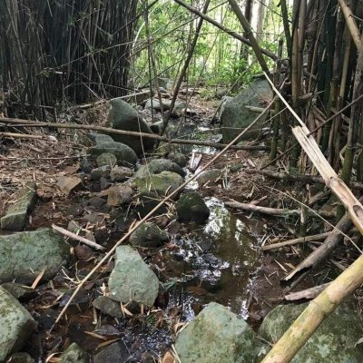 Terreno Comercial/Residencial com 66151m², no bairro Vargem Grande em Florianópolis