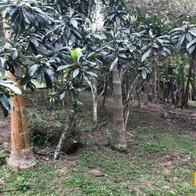 Terreno Comercial/Residencial com 66151m², no bairro Vargem Grande em Florianópolis