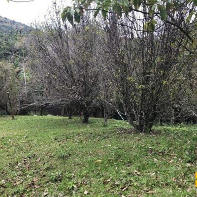 Terreno Comercial/Residencial com 66151m², no bairro Vargem Grande em Florianópolis