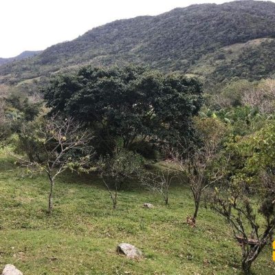 Terreno Comercial/Residencial com 66151m², no bairro Vargem Grande em Florianópolis