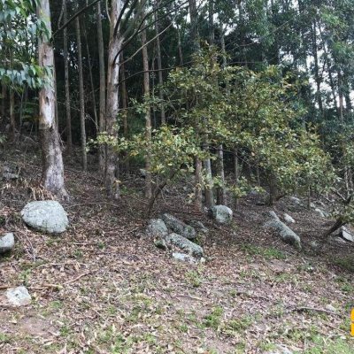 Terreno Comercial/Residencial com 66151m², no bairro Vargem Grande em Florianópolis