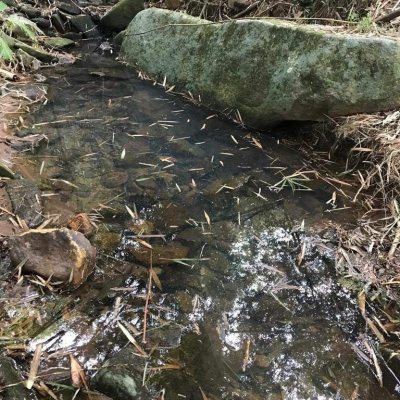 Terreno Comercial/Residencial com 66151m², no bairro Vargem Grande em Florianópolis