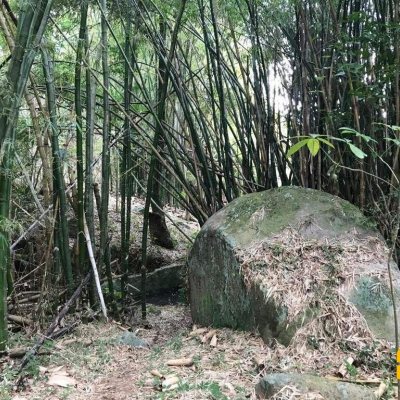 Terreno Comercial/Residencial com 66151m², no bairro Vargem Grande em Florianópolis