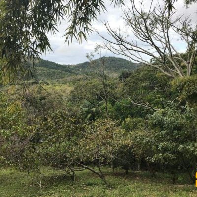 Terreno Comercial/Residencial com 66151m², no bairro Vargem Grande em Florianópolis