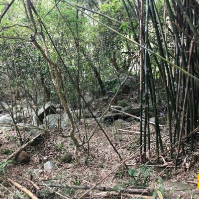 Terreno Comercial/Residencial com 66151m², no bairro Vargem Grande em Florianópolis