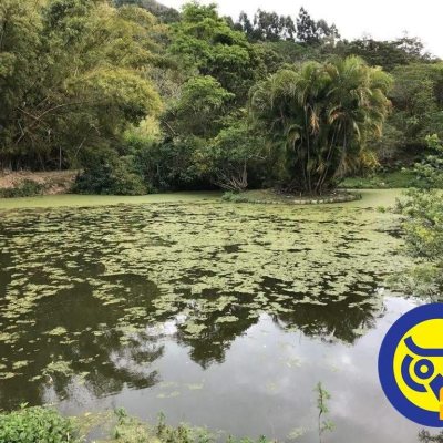 Terreno Comercial/Residencial com 50063m², no bairro Vargem Grande em Florianópolis