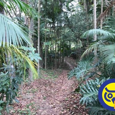 Terreno Comercial/Residencial com 50063m², no bairro Vargem Grande em Florianópolis