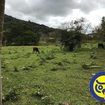 Terreno Comercial/Residencial com 50063m², no bairro Vargem Grande em Florianópolis