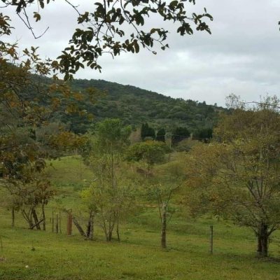 Terreno Comercial/Residencial com 50063m², no bairro Vargem Grande em Florianópolis