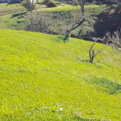 Terrenos Residenciais com 1048m², no bairro Invernadinha em Rancho Queimado