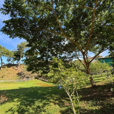 Sitio com 200m², no bairro Potecas em São José