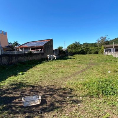 Terreno Comercial/Residencial com 2431m², no bairro Armação Do Pântano Do Sul em Florianópolis