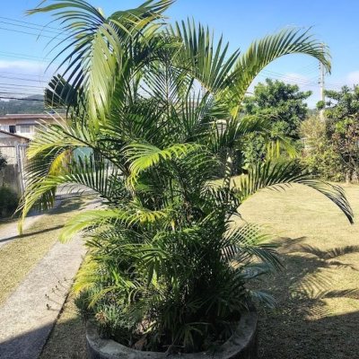 Casa Residencial com 148m², 3 quartos, 1 suíte, 2 garagens, no bairro Cachoeira Do Bom Jesus em Florianópolis