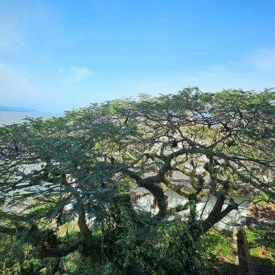 Apartamentos com 130m², 3 quartos, 1 suíte, 2 garagens, no bairro Coqueiros em Florianópolis