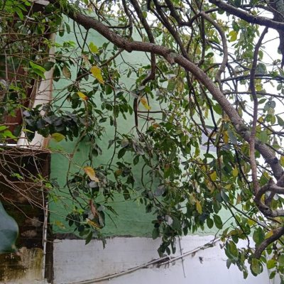 Casa Residencial com 130m², 2 quartos, 3 garagens, no bairro Balneário em Florianópolis