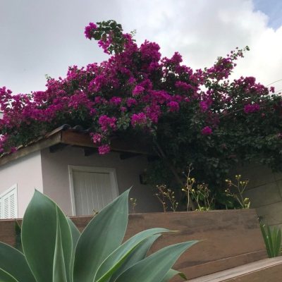 Casa Residencial com 154m², 3 quartos, 1 suíte, no bairro Pântano do Sul em Florianópolis